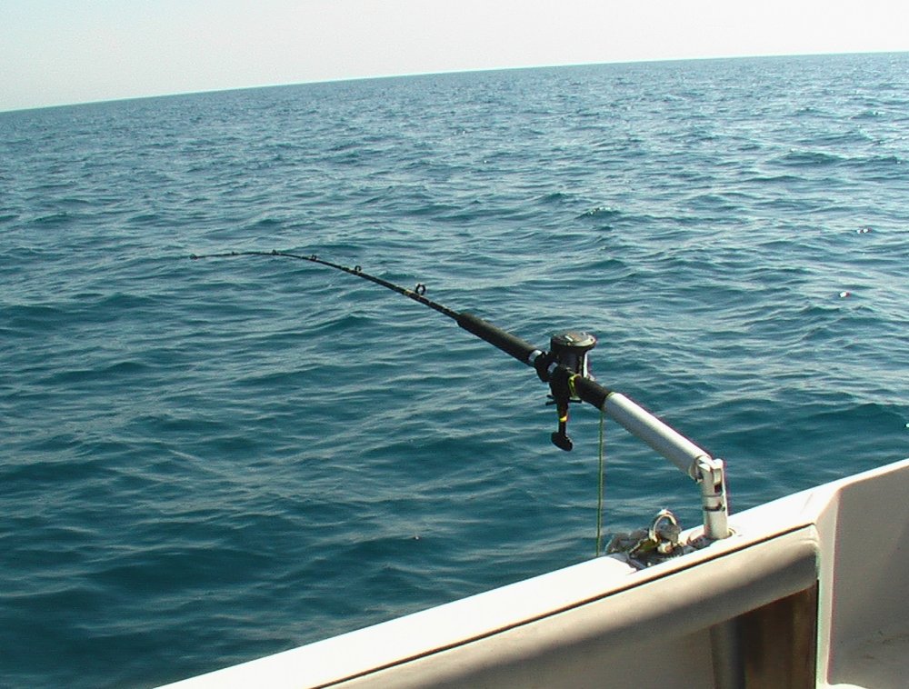 boat rod holders fishing Ø40,5 Boat rod holder, useful as divergent in  trolling and turning the big game [] - €230.00 : Abbocca.com, Bite Alarm,  Originals Accessories for fishing